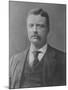 Postcard of Theodore Roosevelt 26th President of the U.S-null-Mounted Premium Photographic Print