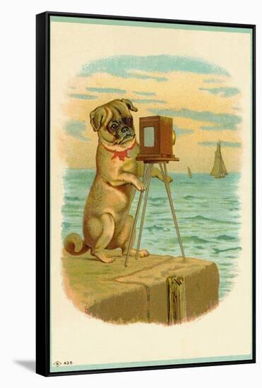 Postcard with a Pug and Camera-null-Framed Stretched Canvas