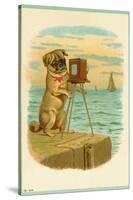 Postcard with a Pug and Camera-null-Stretched Canvas