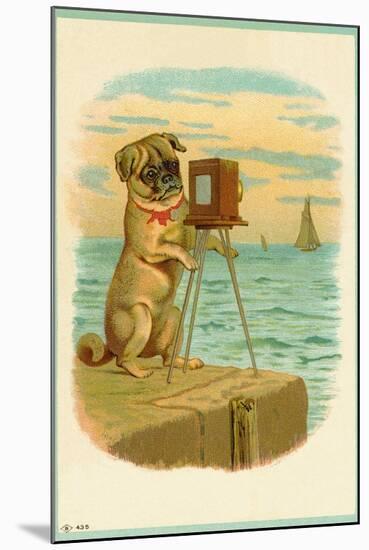 Postcard with a Pug and Camera-null-Mounted Giclee Print