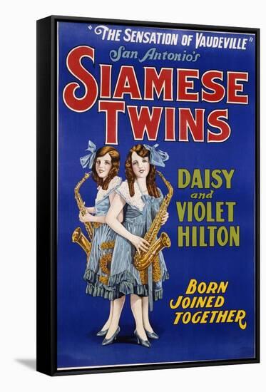 Poster Advertisement for Siamese Twins Daisy and Violet Hilton-null-Framed Stretched Canvas