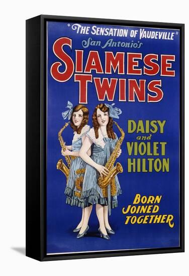 Poster Advertisement for Siamese Twins Daisy and Violet Hilton-null-Framed Stretched Canvas