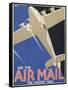 Poster Advertising Air Mail Saying "Use the Air Mail, the Fastest Mail"-null-Framed Stretched Canvas