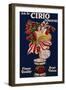 Poster Advertising Cirio Tomatoes, C.1920-null-Framed Giclee Print