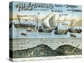 Poster Advertising 'H.L. Ettman and Co., Importers of Sponges and Chamois', 1897-null-Stretched Canvas