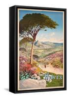 Poster Advertising Hyeres, France, 1900-Hugo D' Alesi-Framed Stretched Canvas
