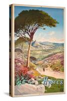 Poster Advertising Hyeres, France, 1900-Hugo D' Alesi-Stretched Canvas