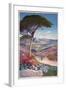 Poster Advertising Hyeres, Provence-Hugo D' Alesi-Framed Giclee Print