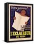 Poster Advertising 'L'Eclaireur Du Midi' Newspaper, C.1939-J.M. Bompard-Framed Stretched Canvas