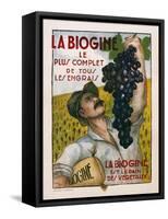 Poster Advertising 'La Biogine', Published by Affiches D'Interieur, C.1930-null-Framed Stretched Canvas