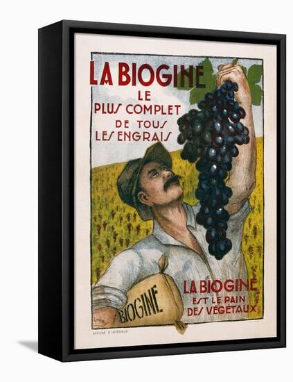 Poster Advertising 'La Biogine', Published by Affiches D'Interieur, C.1930-null-Framed Stretched Canvas