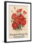 Poster Advertising Northrup, Kings and Co's Seeds, C.1898 (Colour Litho)-American-Framed Giclee Print