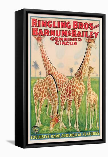 Poster Advertising Ringling Bros and Barnum and Bailey Combined Circus, C.1928-null-Framed Stretched Canvas