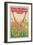 Poster Advertising Ringling Bros and Barnum and Bailey Combined Circus, C.1928-null-Framed Giclee Print