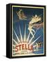 Poster Advertising 'Stella' Petrol, 1897 (Colour Litho)-French School-Framed Stretched Canvas