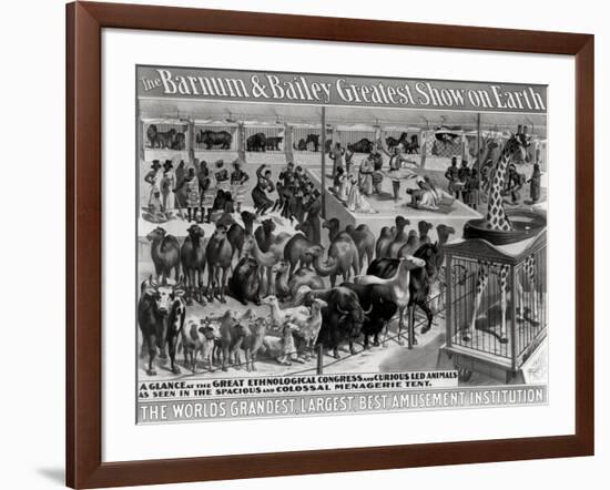 Poster Advertising, The Barnum and Bailey Greatest Show on Earth-null-Framed Giclee Print