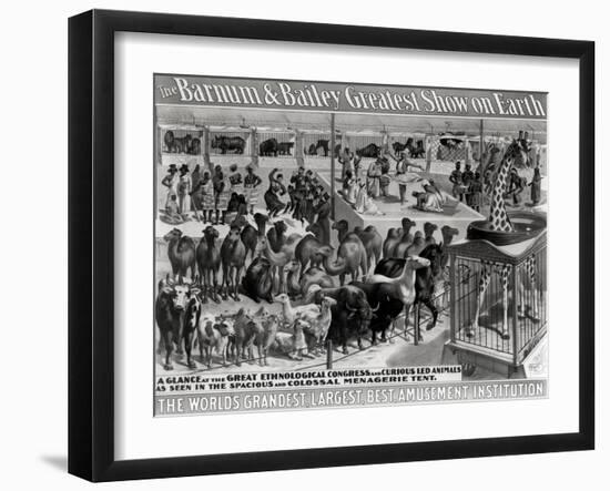 Poster Advertising, The Barnum and Bailey Greatest Show on Earth-null-Framed Giclee Print