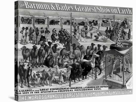 Poster Advertising, The Barnum and Bailey Greatest Show on Earth-null-Stretched Canvas