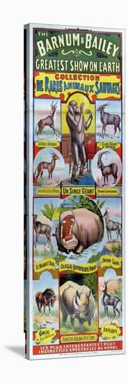 Poster Advertising the Collection de Rares Animaux Sauvages For the Barnum and Bailey Circus-null-Stretched Canvas
