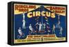 Poster Advertising the Great Wallendas at the 'Ringling Bros. and Barnum and Bailey Circus'-American-Framed Stretched Canvas