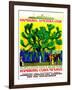 Poster Advertising the Hamburg American Line, 1923-null-Framed Giclee Print