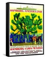 Poster Advertising the Hamburg American Line, 1923-null-Framed Stretched Canvas