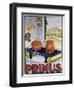 Poster Advertising the Primus Hob, Printed by Dampenon and Elarue-French School-Framed Premium Giclee Print