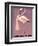 Poster Advertising Zimmerli Clothing, C.1935-null-Framed Giclee Print