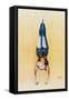 Poster Depicting a Female Acrobat Using Rings-null-Framed Stretched Canvas