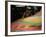 Poster Designer: Peter Max-Henry Groskinsky-Framed Premium Photographic Print