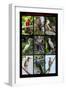 Poster featuring nine birds founds in the Amazon rainforest of northern Peru-Mallorie Ostrowitz-Framed Photographic Print