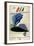 Poster for British European Airways (BEA) Featuring the 1948 London Olympic Games-null-Framed Giclee Print