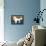 Poster for Dog Show-null-Framed Stretched Canvas displayed on a wall
