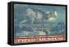 Poster for Field Museum with Horned Antelope-null-Framed Stretched Canvas