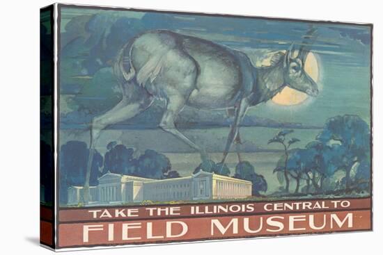 Poster for Field Museum with Horned Antelope-null-Stretched Canvas