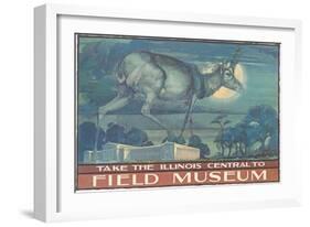 Poster for Field Museum with Horned Antelope-null-Framed Giclee Print