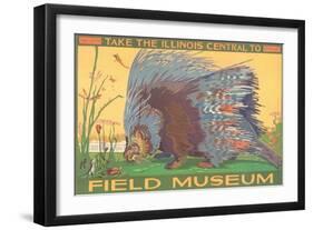 Poster for Field Museum with Porcupine-null-Framed Premium Giclee Print