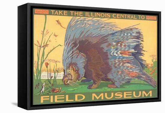 Poster for Field Museum with Porcupine-null-Framed Stretched Canvas