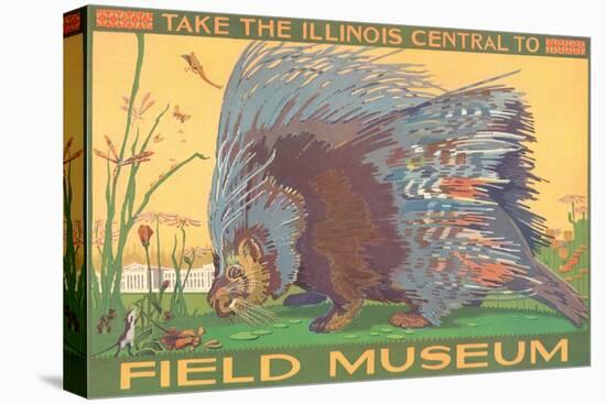 Poster for Field Museum with Porcupine-null-Stretched Canvas