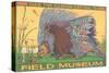 Poster for Field Museum with Porcupine-null-Stretched Canvas