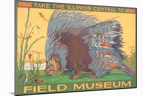 Poster for Field Museum with Porcupine-null-Mounted Giclee Print