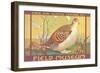 Poster for Field Museum with Quail-null-Framed Giclee Print