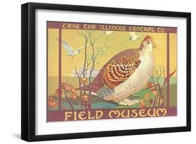 Poster for Field Museum with Quail-null-Framed Giclee Print