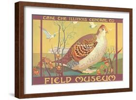 Poster for Field Museum with Quail-null-Framed Giclee Print