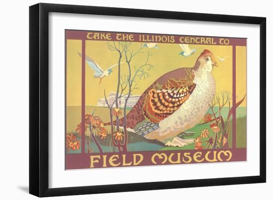 Poster for Field Museum with Quail-null-Framed Giclee Print