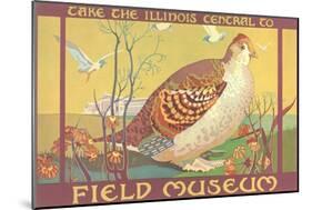 Poster for Field Museum with Quail-null-Mounted Giclee Print