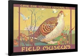 Poster for Field Museum with Quail-null-Framed Premium Giclee Print