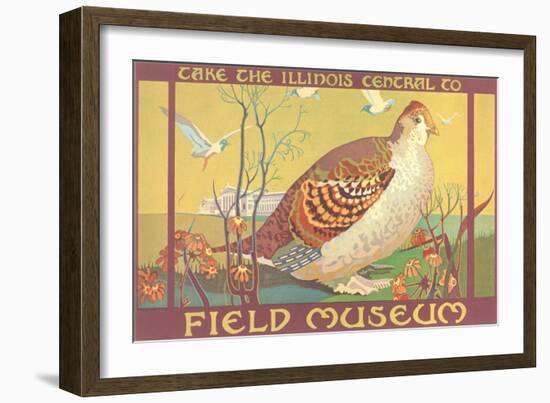 Poster for Field Museum with Quail-null-Framed Art Print