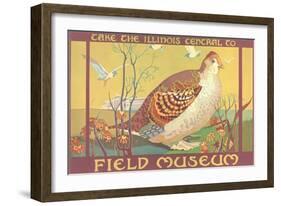 Poster for Field Museum with Quail-null-Framed Art Print