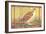 Poster for Field Museum with Quail-null-Framed Art Print